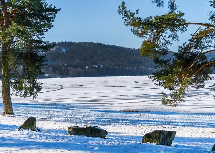 A121 Molo Lipno S Infrasaunou - Koubek Lipno nad Vltavou